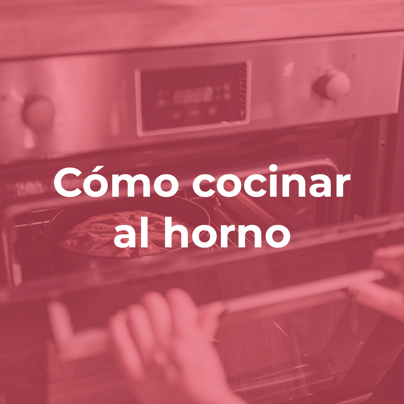 Cómo Cocinar Al Horno - Nutriactivos TNE